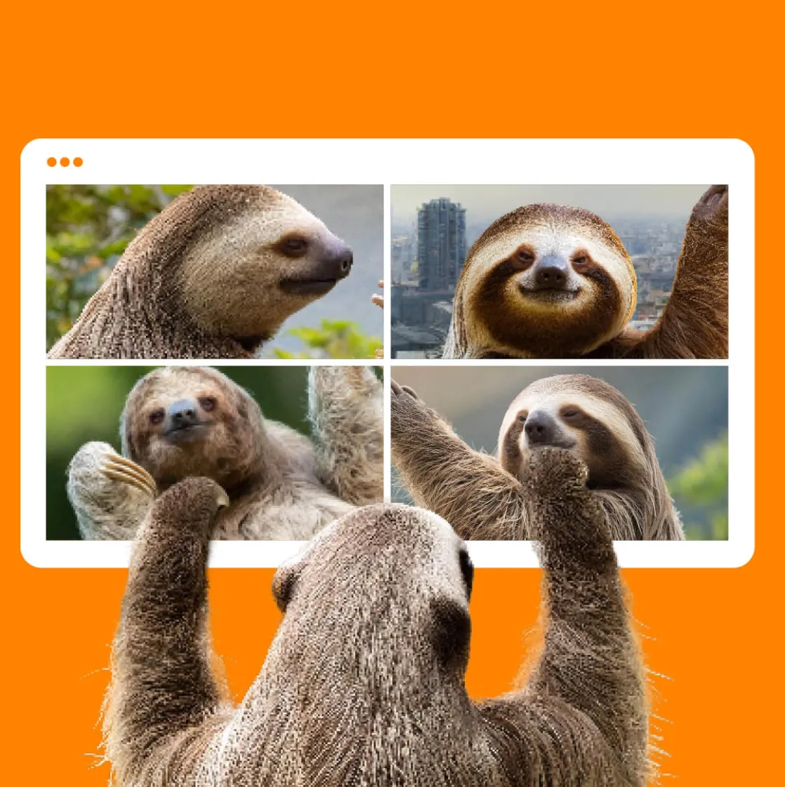 digitale bestiale